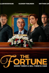 دانلود سریال The Fortune شانس