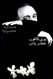 بوی کافور، عطر یاس